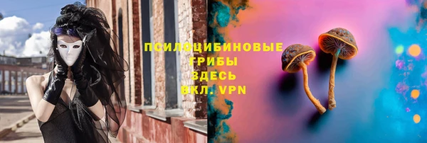 mdpv Белокуриха