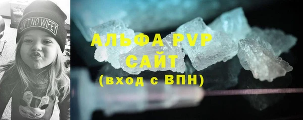прущие грибы Богородск
