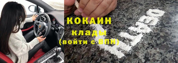 твердый Богданович