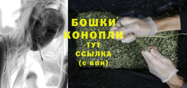 mdpv Белокуриха
