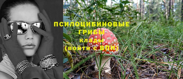 хмурый Белоозёрский