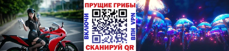 Псилоцибиновые грибы прущие грибы  Мариинский Посад 